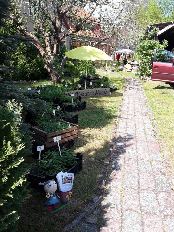 Kraeuter-Heidi Schwielowsee Exterior foto